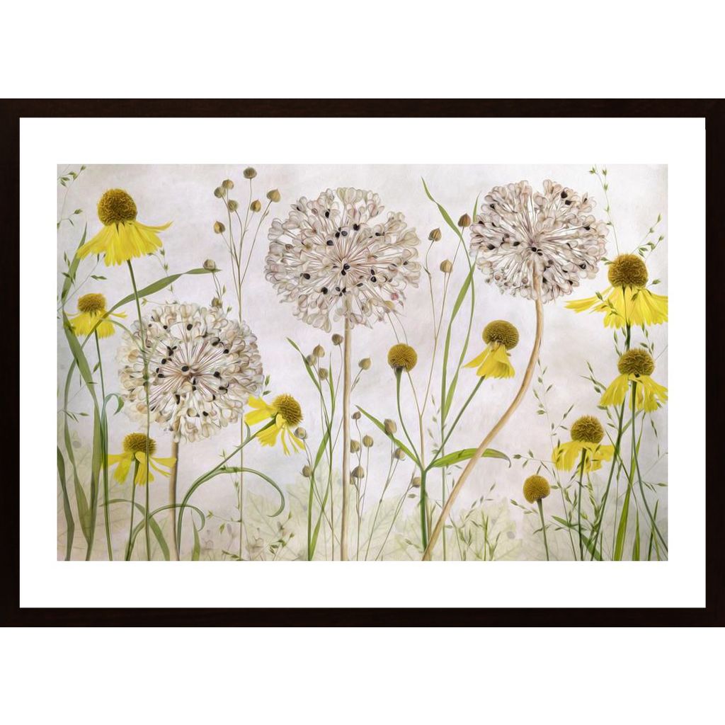 Alliums And Heleniums Poster