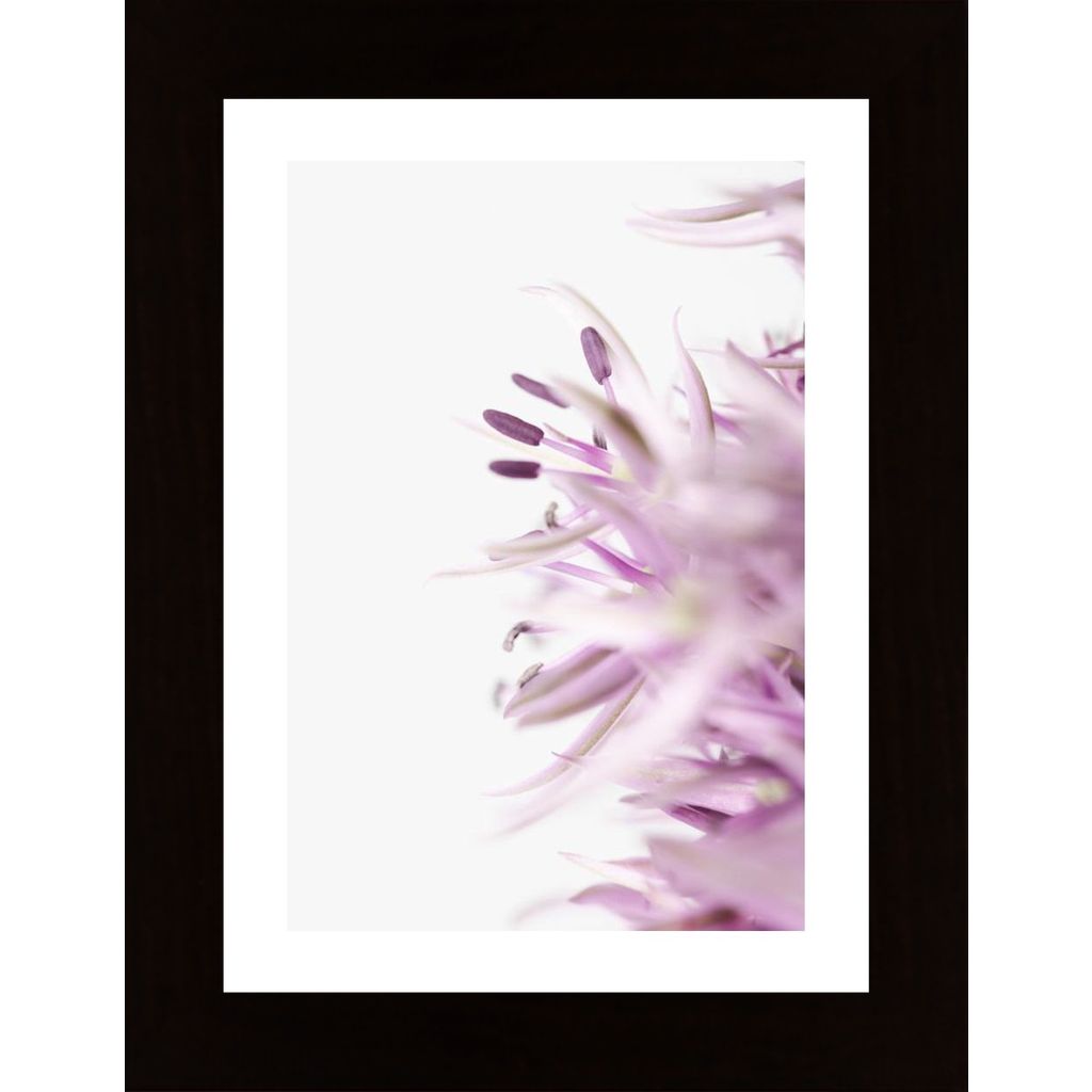 Flower Purple Plakát