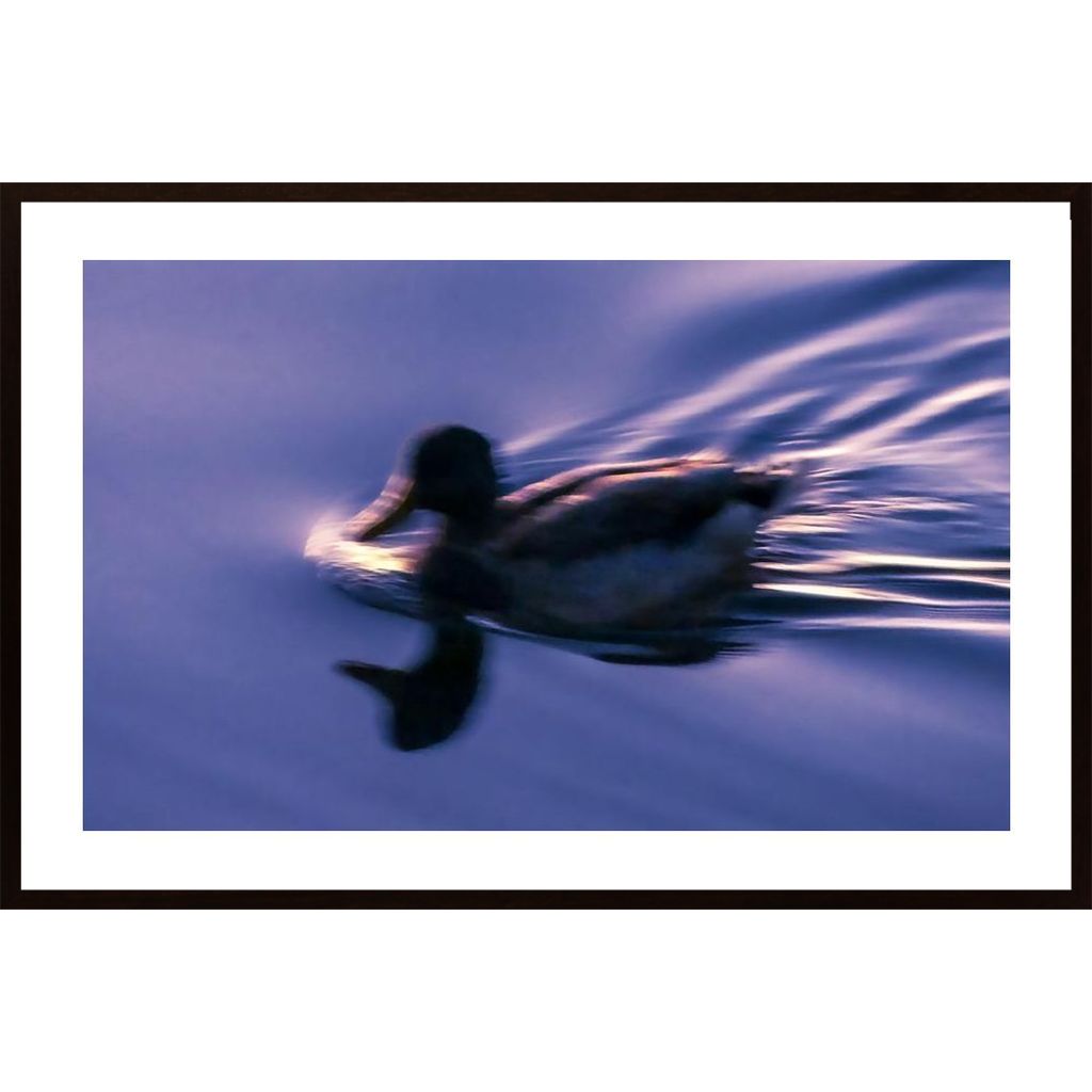 Running Duck Poster