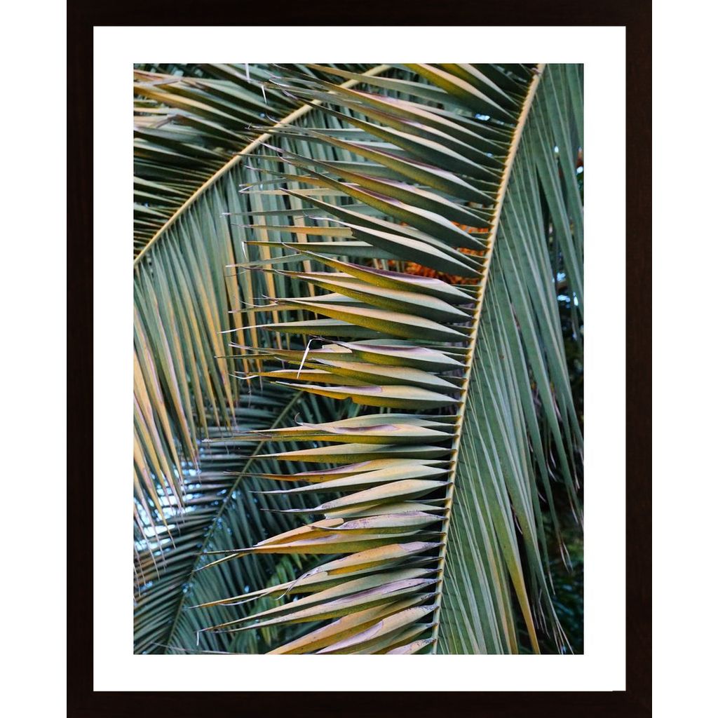 Yellow Green Palm Poster