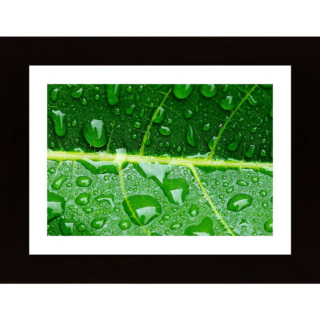 Water Drops On A Leaf 3 Plakát