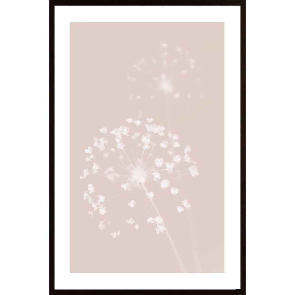 Dried Flower Pink Plakát