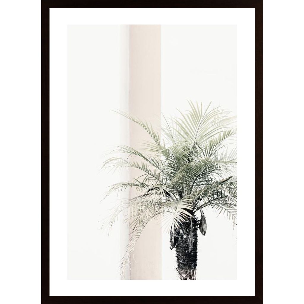 Palm Tree Plakát