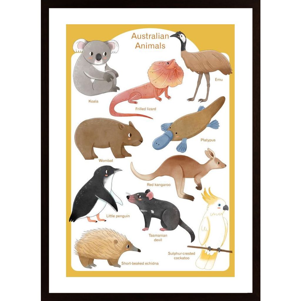 Australian Animals Plakát