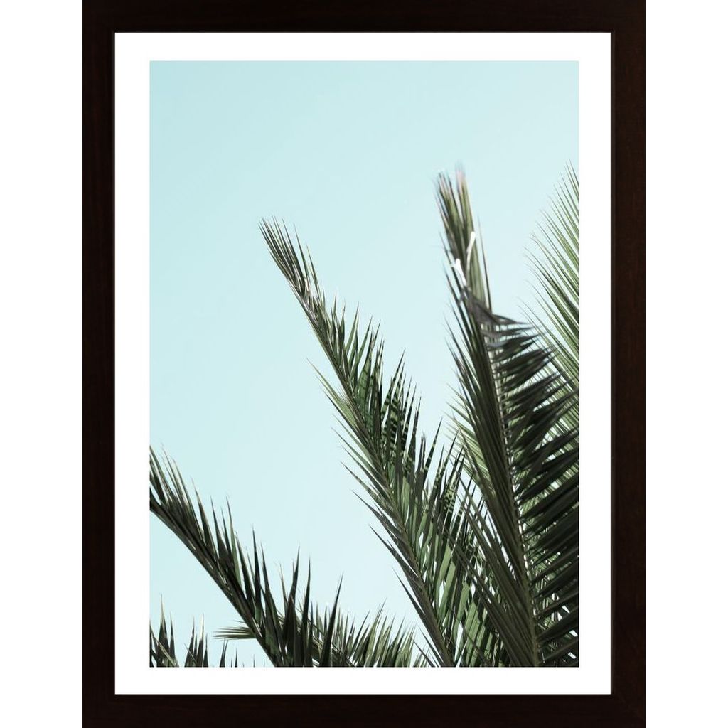 Palm Leaves And Sky 2 Poster