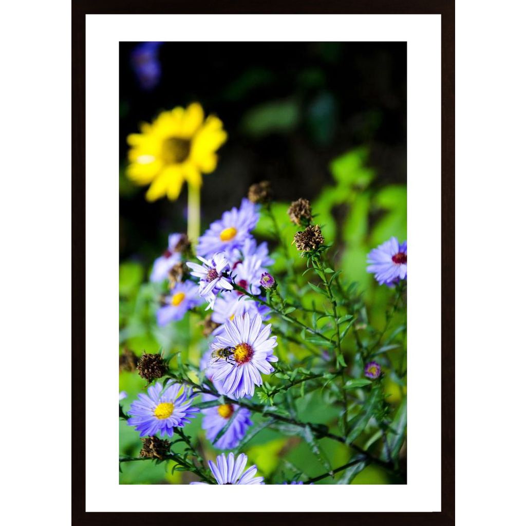 Pszczola Na Kwiatku Affiche