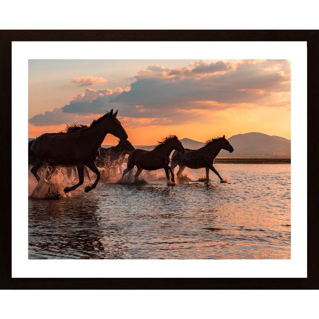 Water Horses Poster