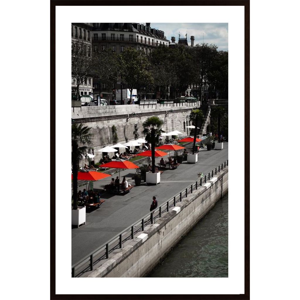 Sunbathing In Paris Poster