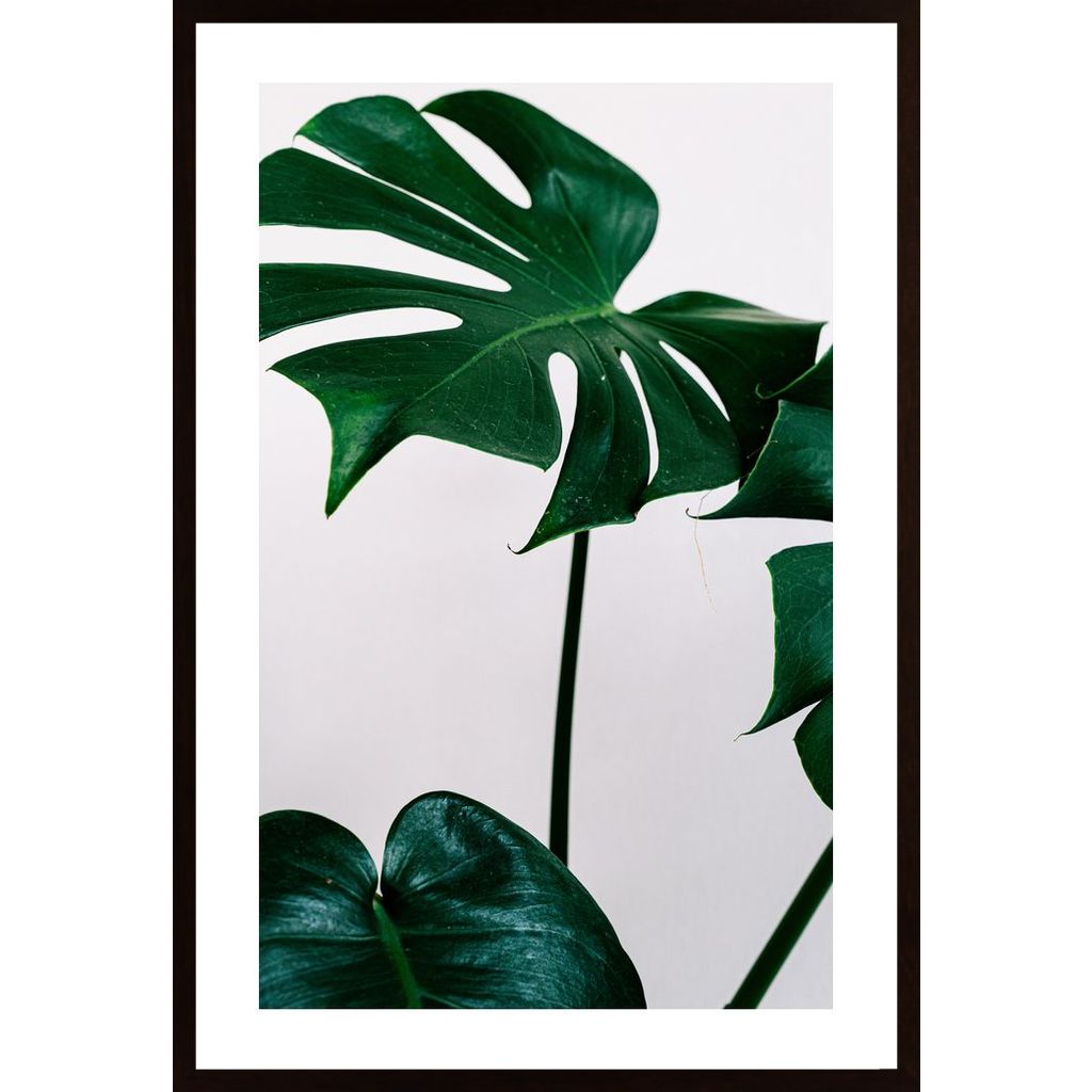 Green Leaves Poster