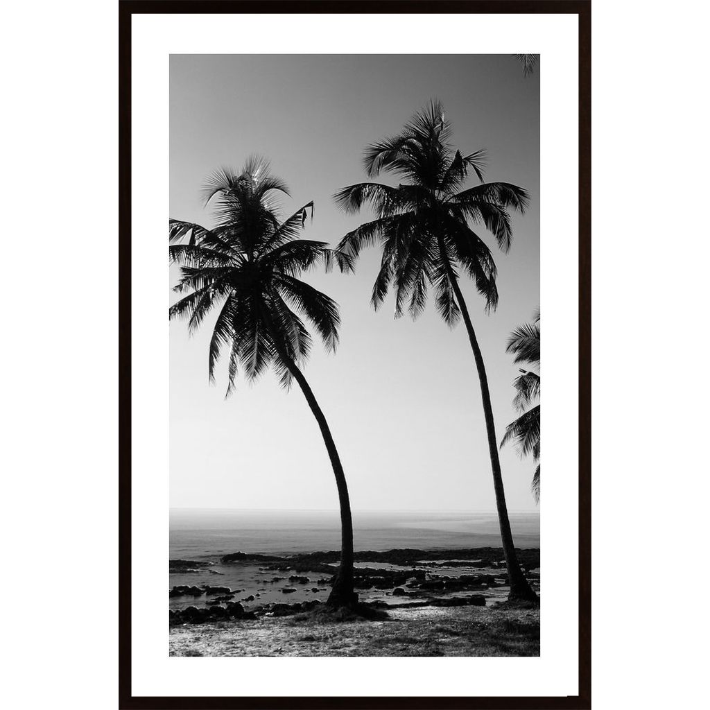 Vacations Black & White Plakát
