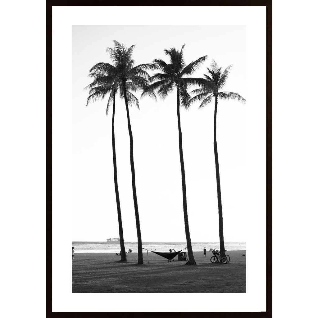 Palm Treess Affiche