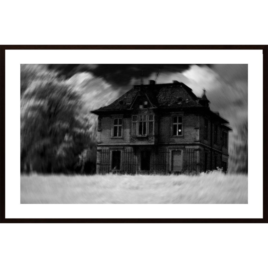 The Haunted House Plakát