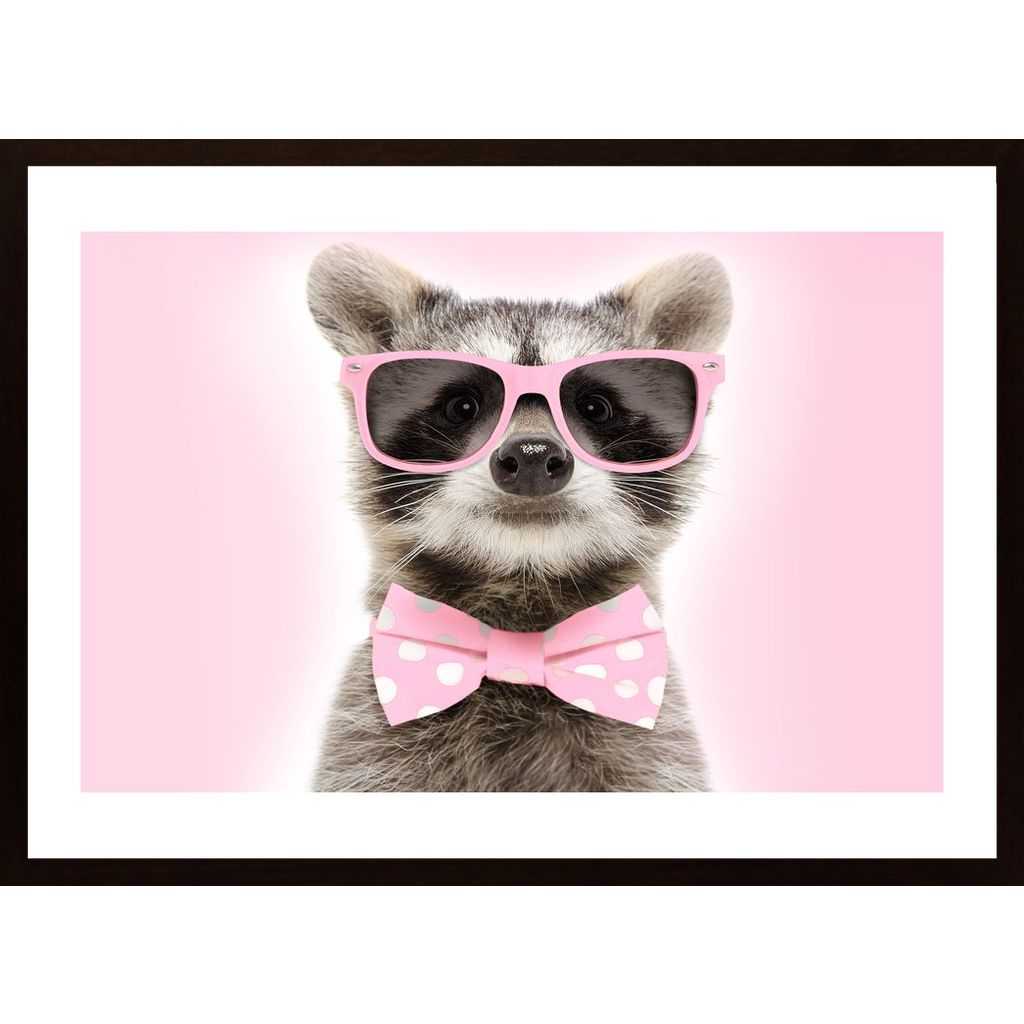Raccoon With Pink Glasses Poster