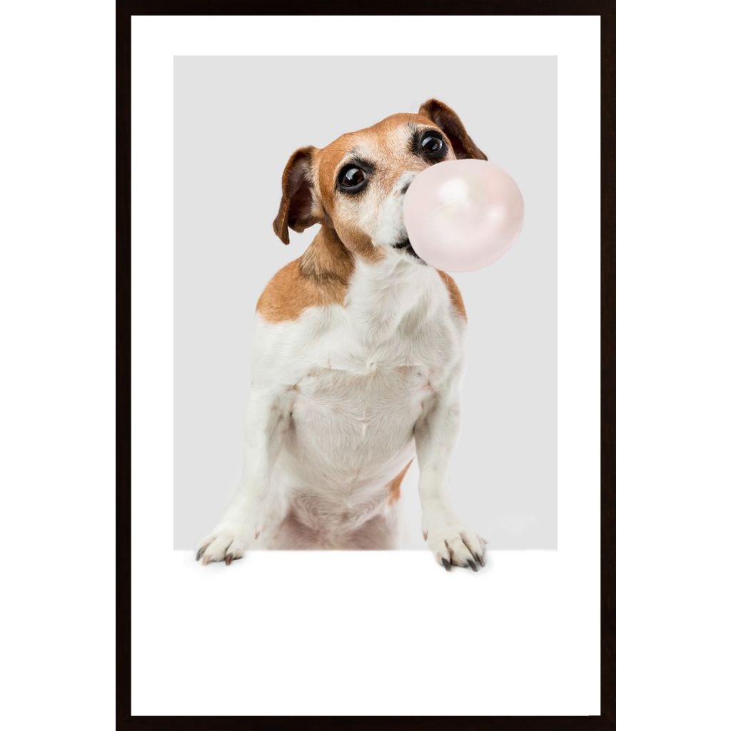 Dog Chewing Bubble Gum Plakat
