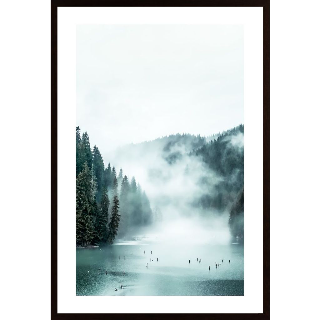 Forest Fog Poster