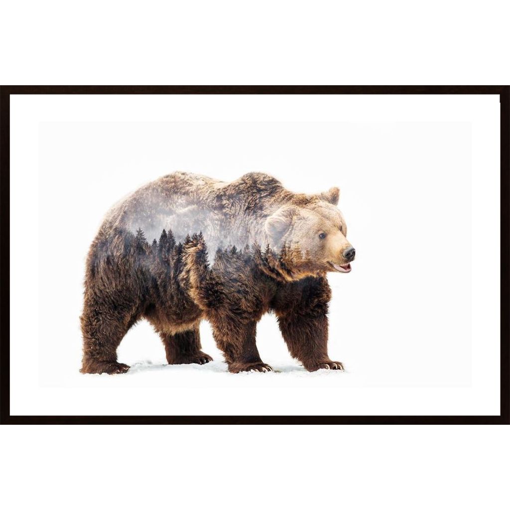 Bear Plakát