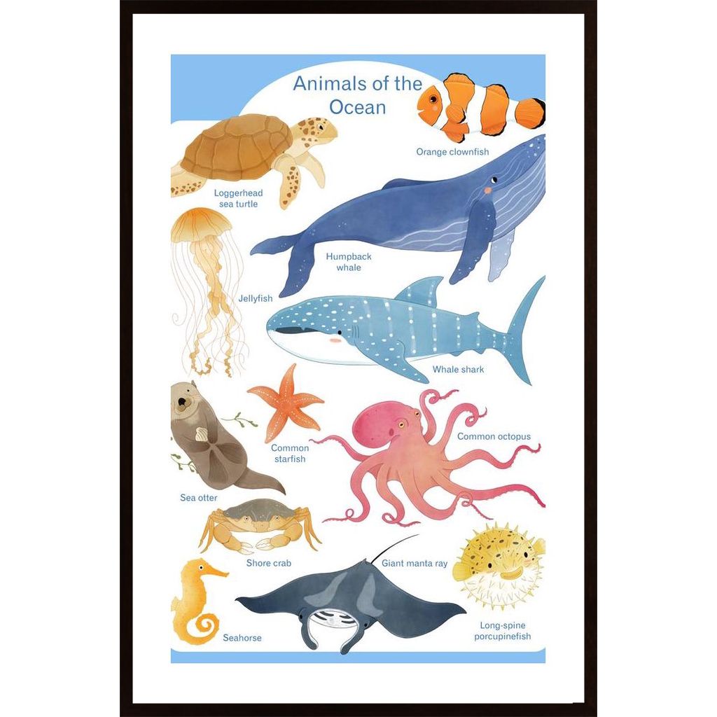 Ocean Animals Plakát