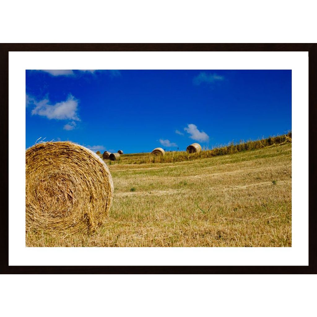 The Hay Poster