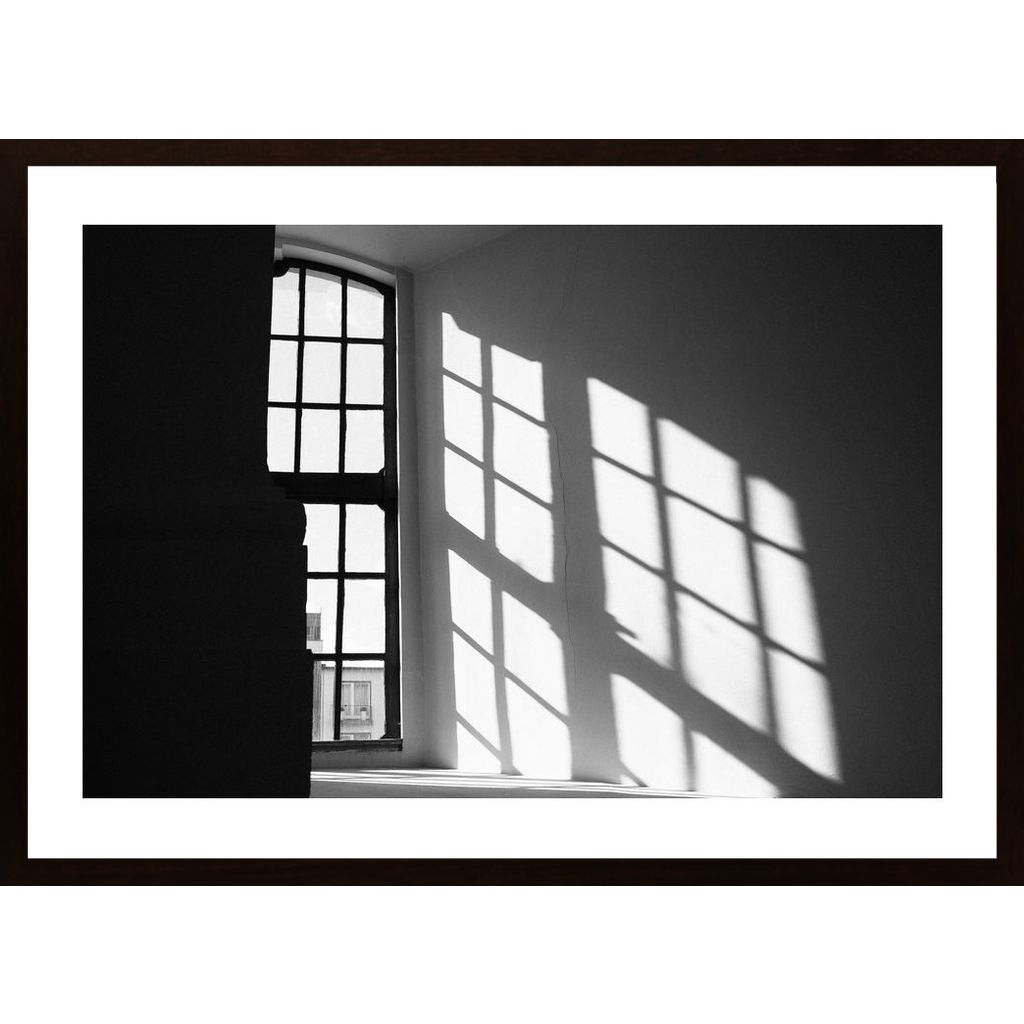Light From Window Poster