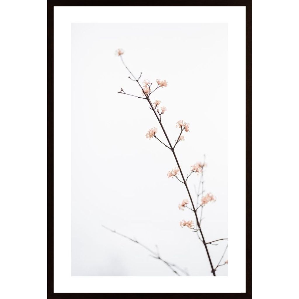 Twig With Small Flowers Plakat