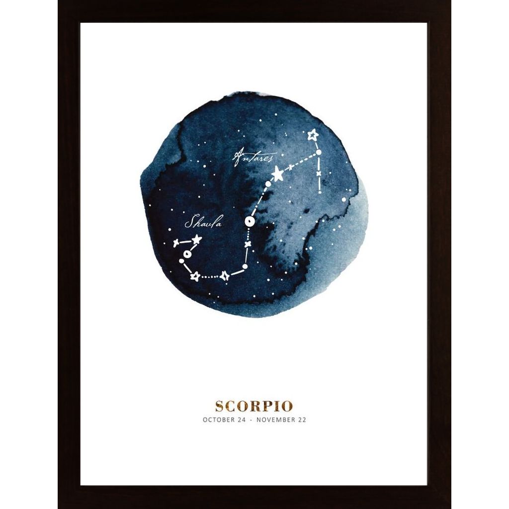 Zodiac Skorpion Plakat