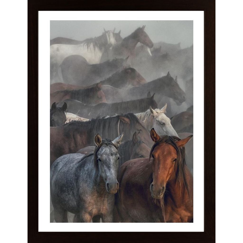 Two Horses Plakát