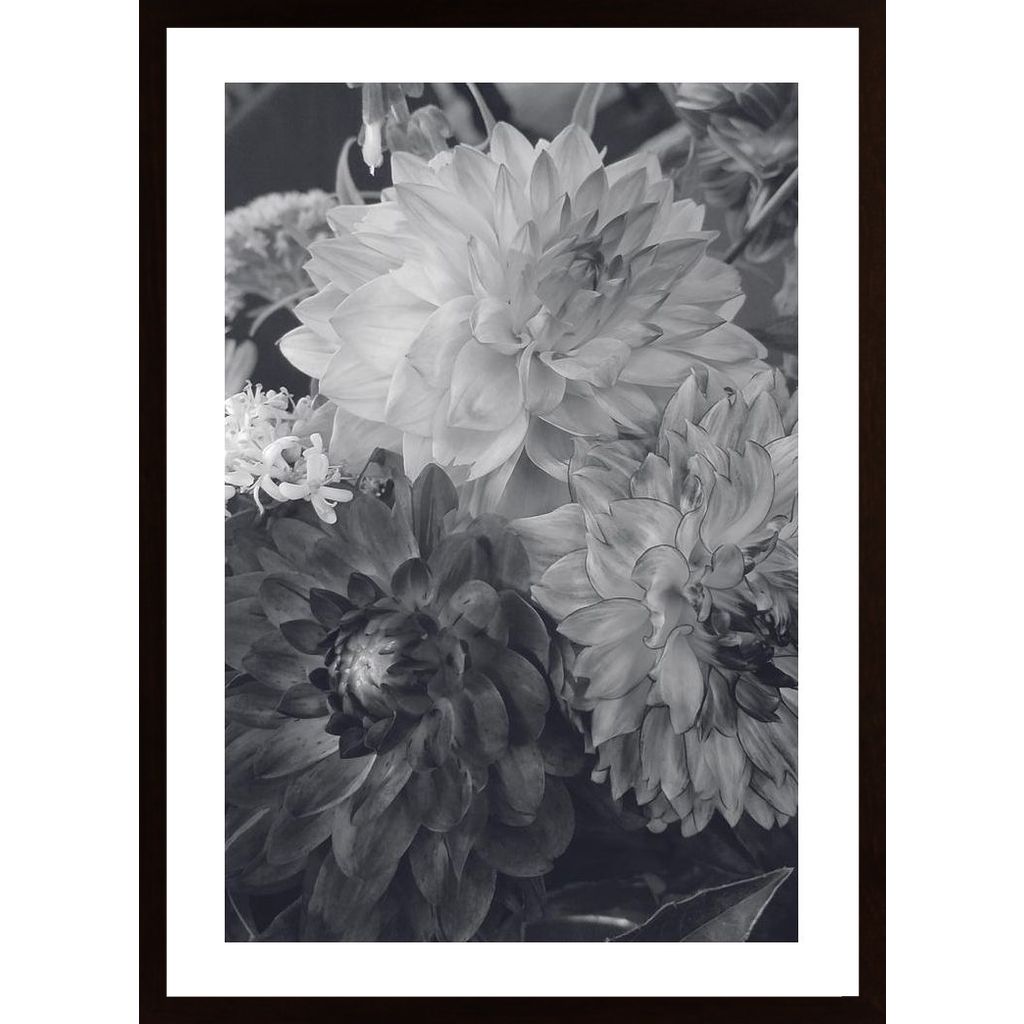 Hydrangea Flowers Affiche