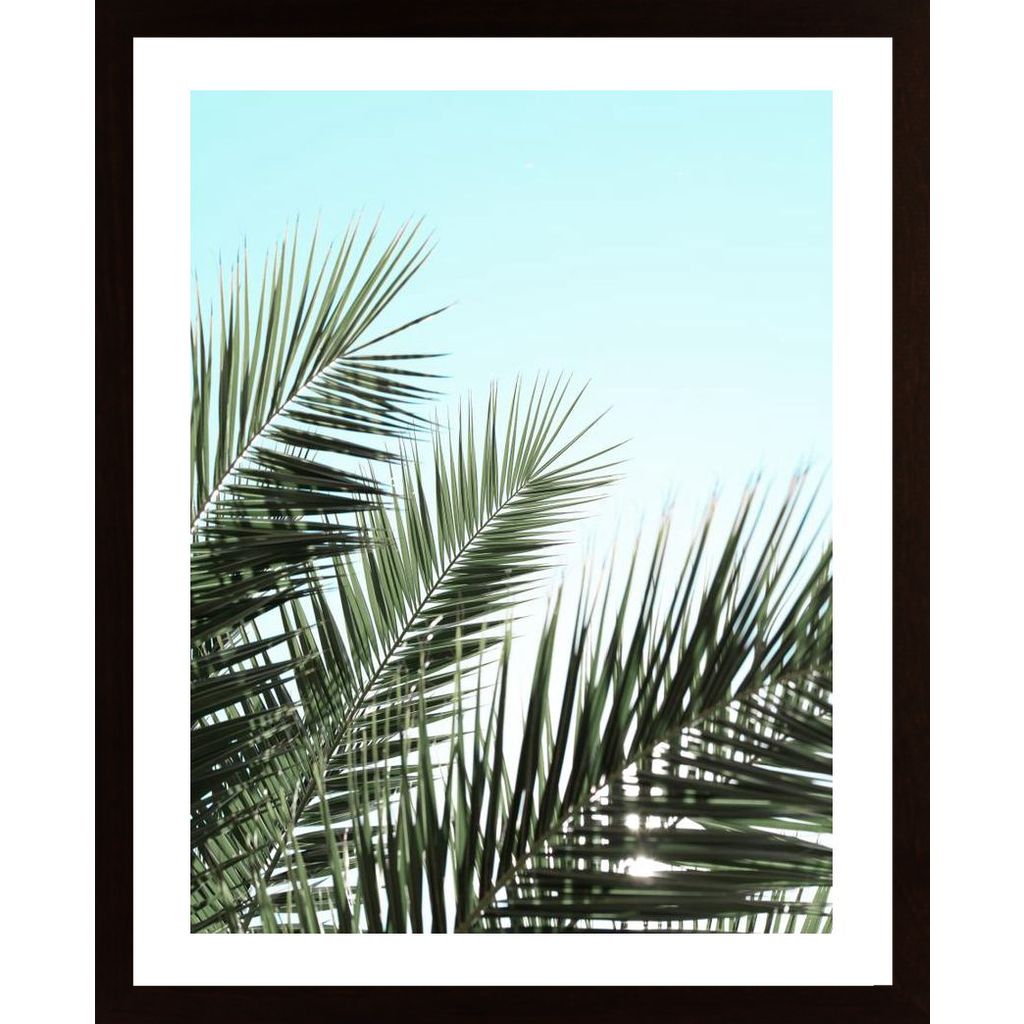Palm Leaves, Sky 1 Poster