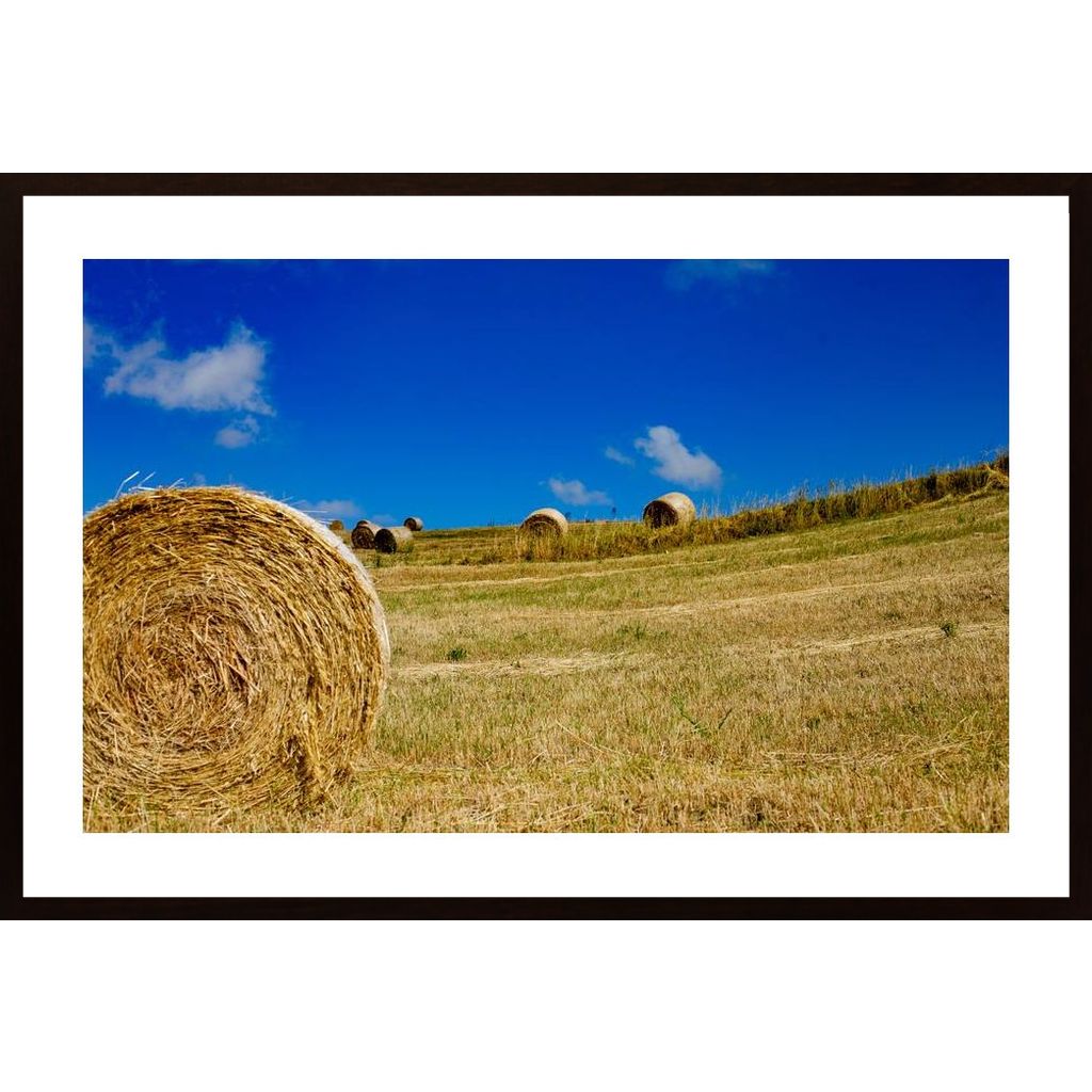 The Hay Poster
