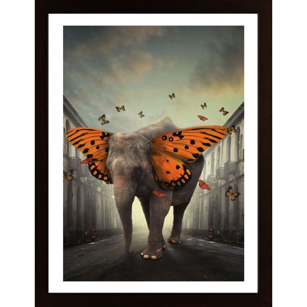 Butterphant Plakat