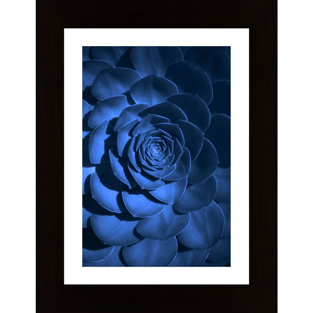 Blue Flower Poster