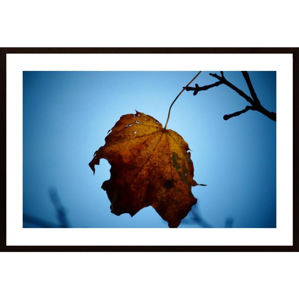 The Last Leaf Poster