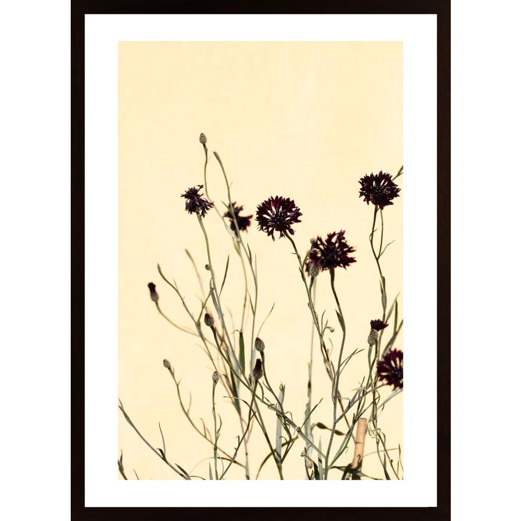 Withered Flowers Poster