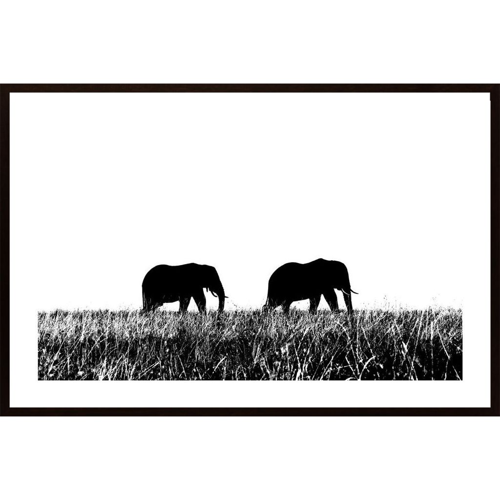 Elephants Couple Poster