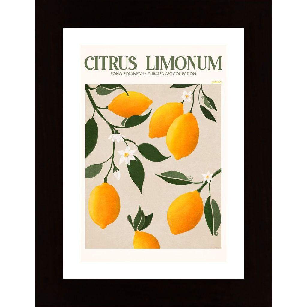 Fruit Market Lemons Affiche