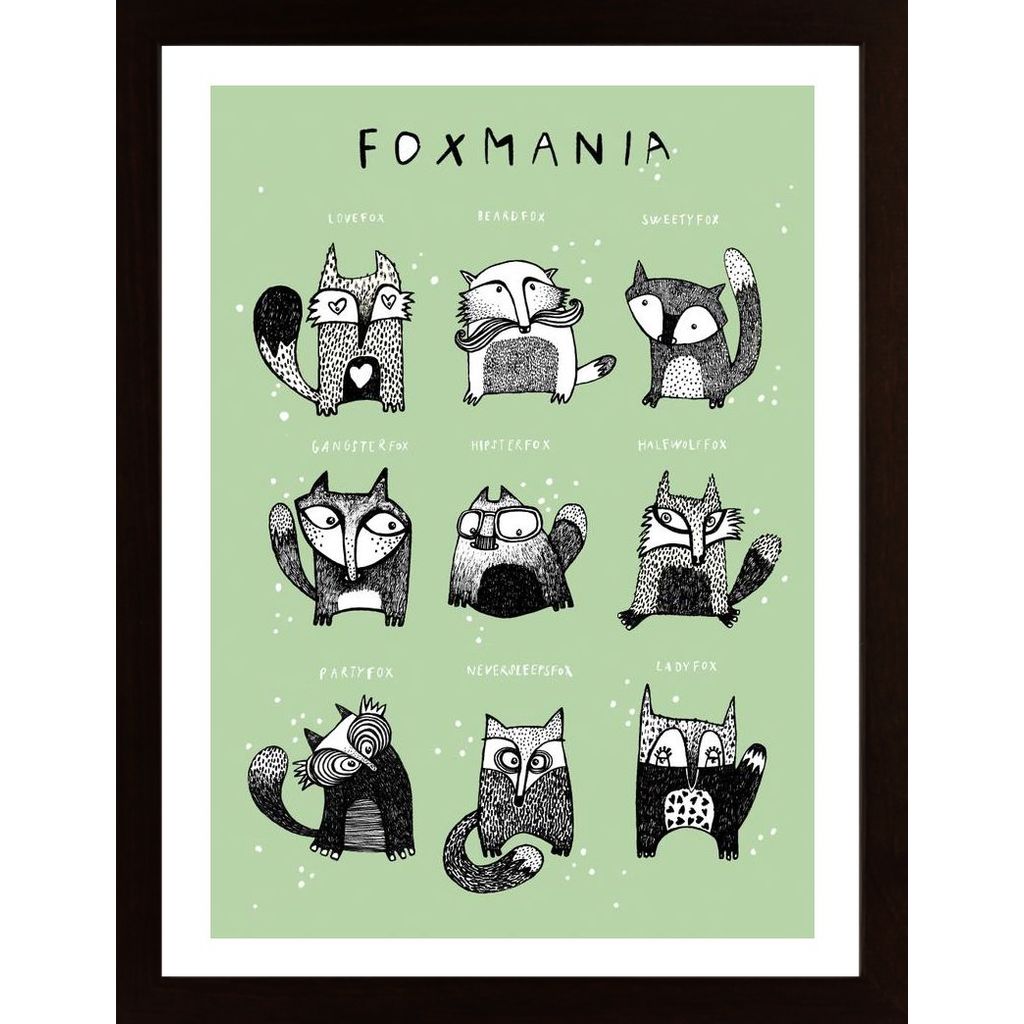 Schulze - Foxmania 2 Poster