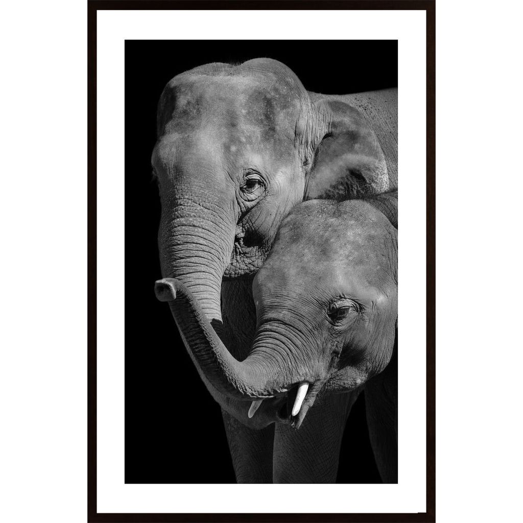 Mother And Baby Elephant Plakát