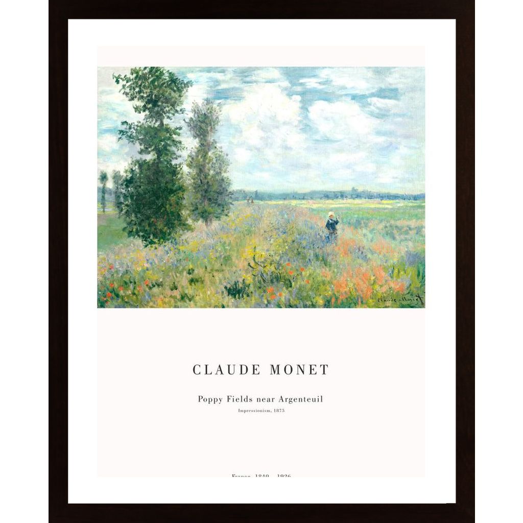 Monet - Poppy Fields Poster