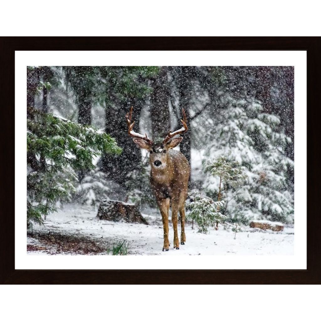Snow Storm And The Buck Deer Plakát