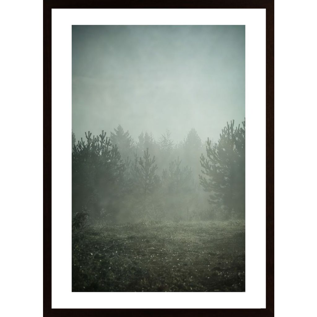 Forest Autumn Poster