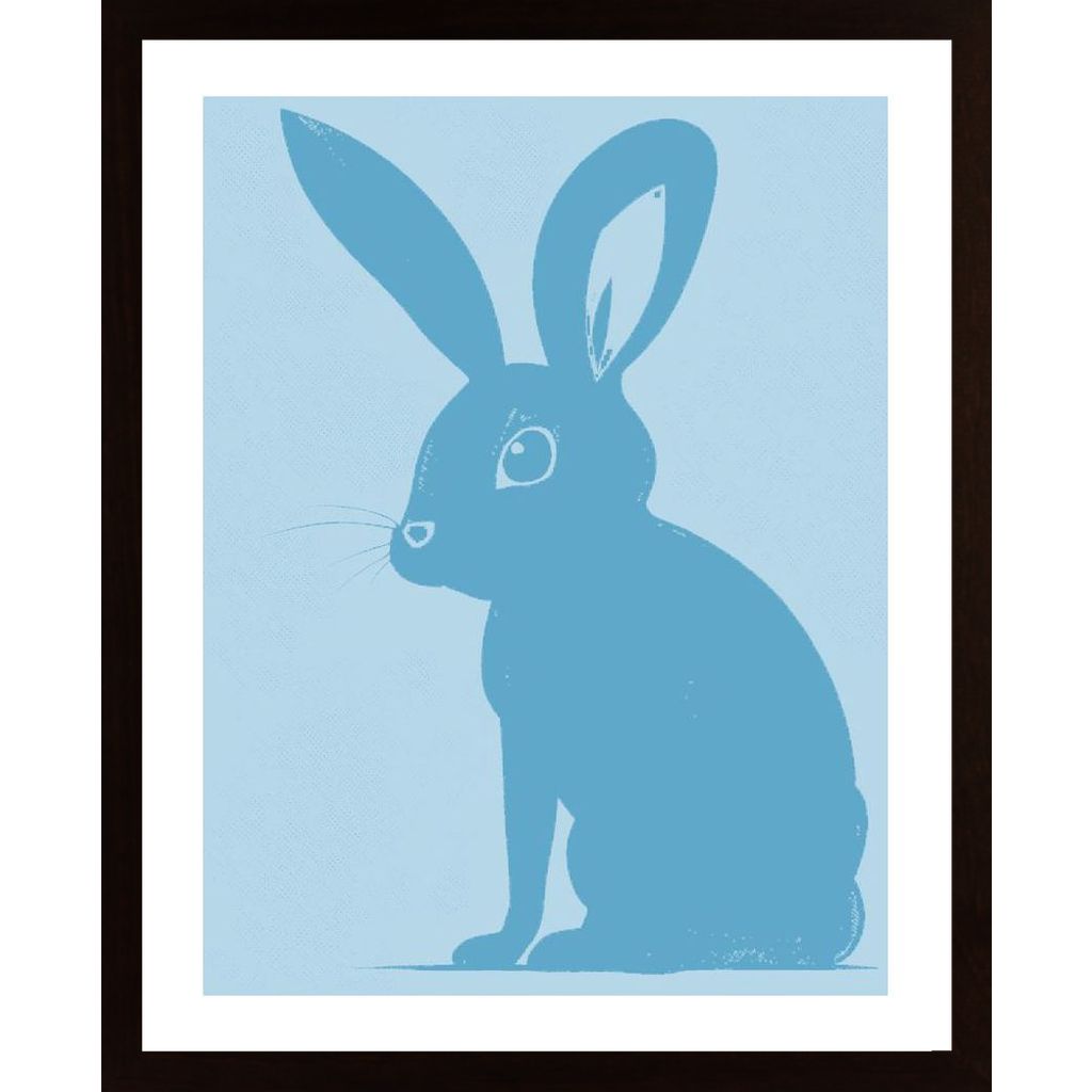 Babyblå Kanin Plakat