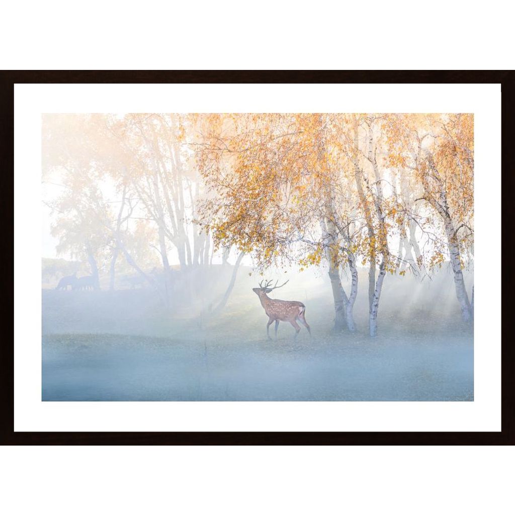 Elk Lost In Mist Plakát