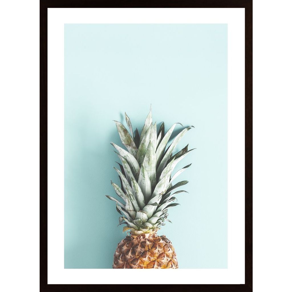 Half Pineapple Poster