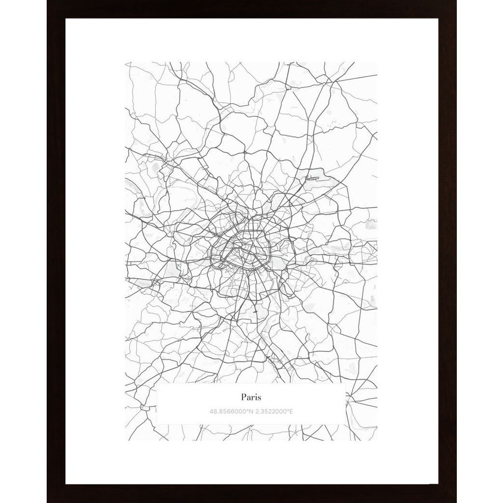 Paris (Mapa Personalizable) Poster